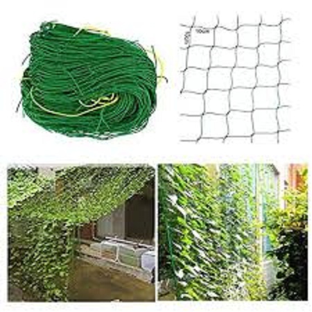 Lưới leo dàn cho cây trồng các loại 2m-6m