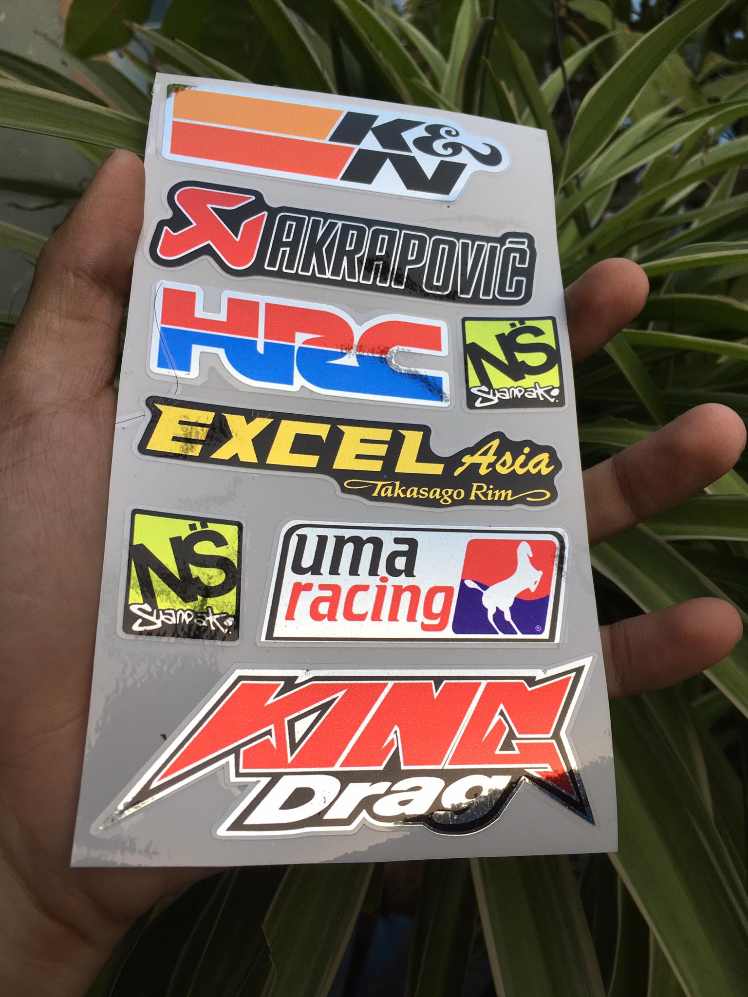 [HCM]TEM LOGO SI CROM KING DRAG KN AKAPOVIC