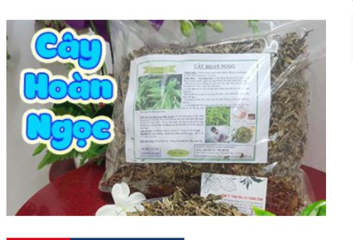 Cây hoàn ngọc khô 1kg chuẩn hàng loại 1