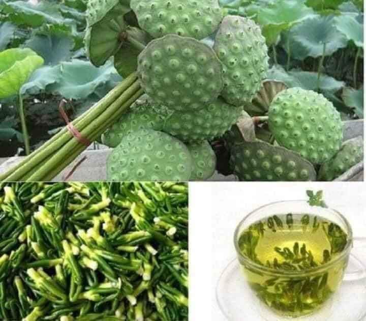 Tâm sen khô , trà tâm sen, tim sen đã làm sạch, sao vàng, chất lượng loại 1, thơm ngon