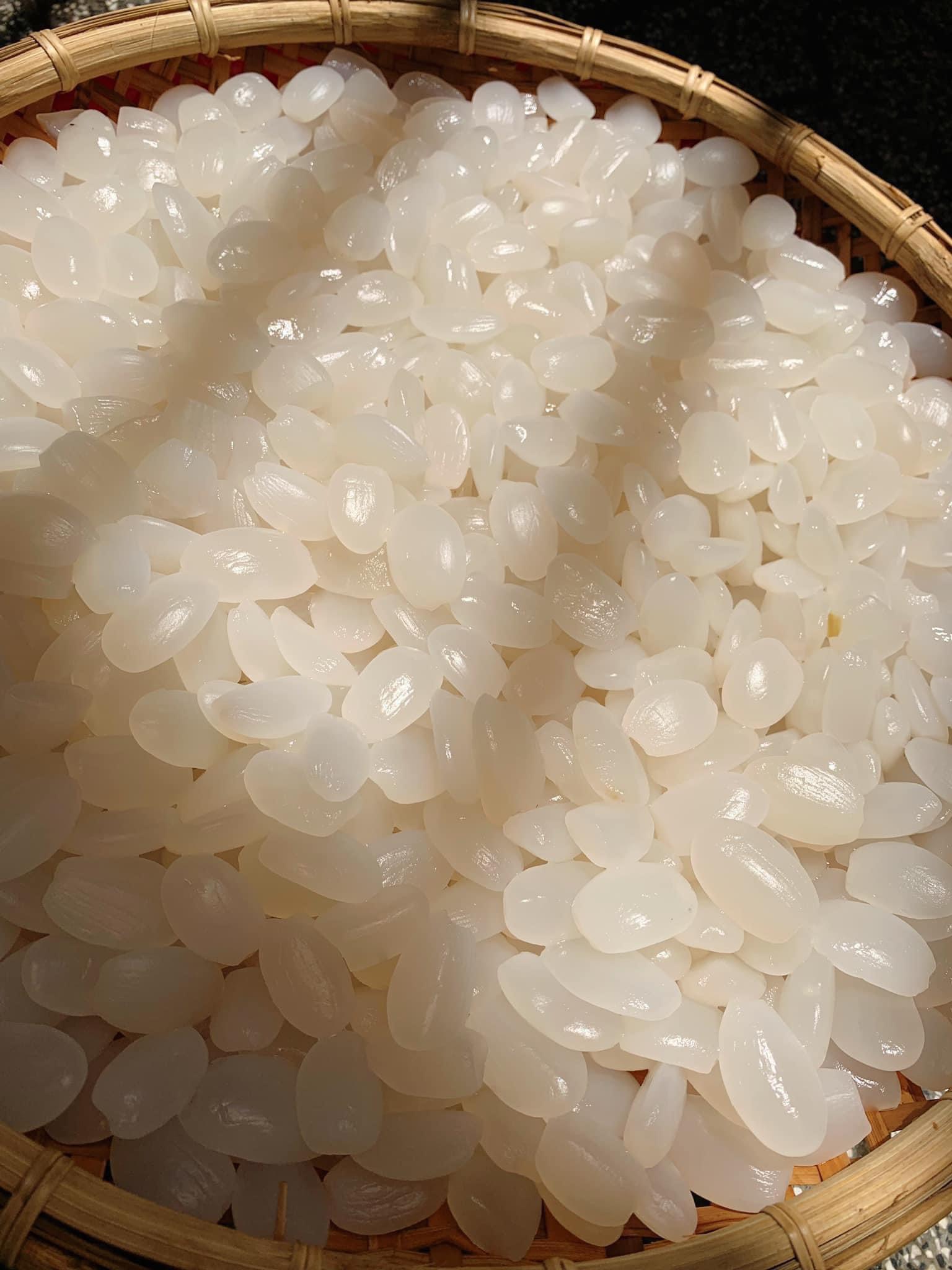 Palm Sugar Seeds 1kg (Delivery to Hcmc)