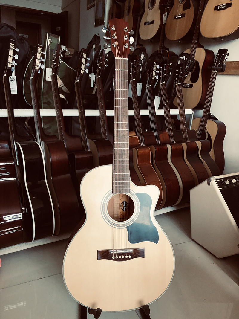 ĐÀN GUITAR ACOUSTIC DJ150