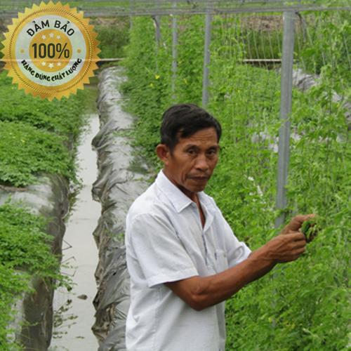 Khổ qua rừng nguyên trái - Khổ qua gai sấy khô tự nhiên