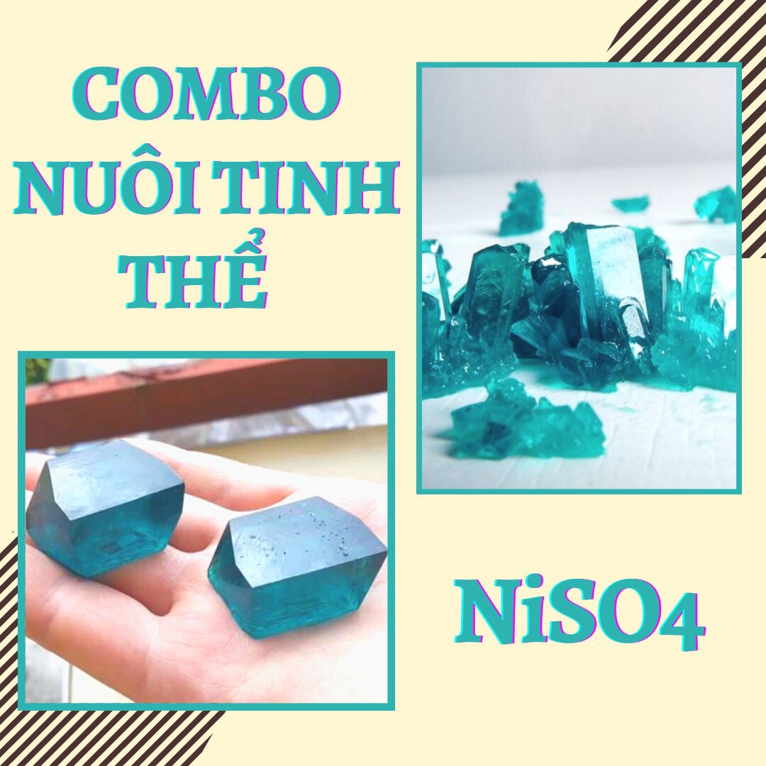 NiSO4 - 200g & 500g - Combo nuôi tinh thể Niken Sunfate kèm hướng dẫn l
