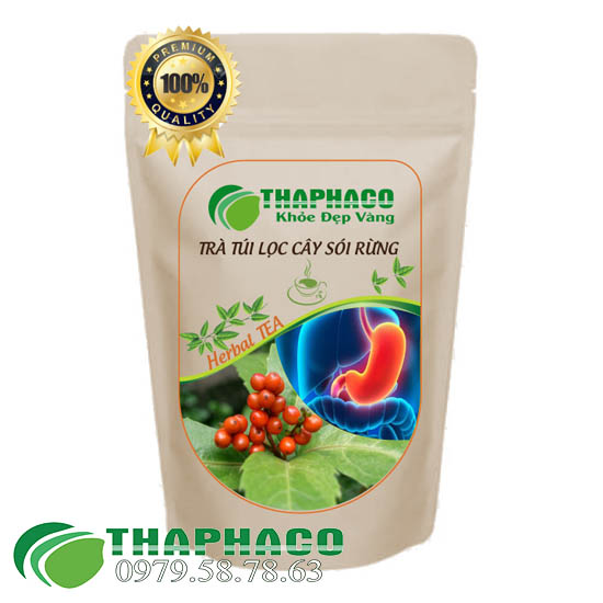 Trà Túi Lọc Cây Sói Rừng Thaphaco