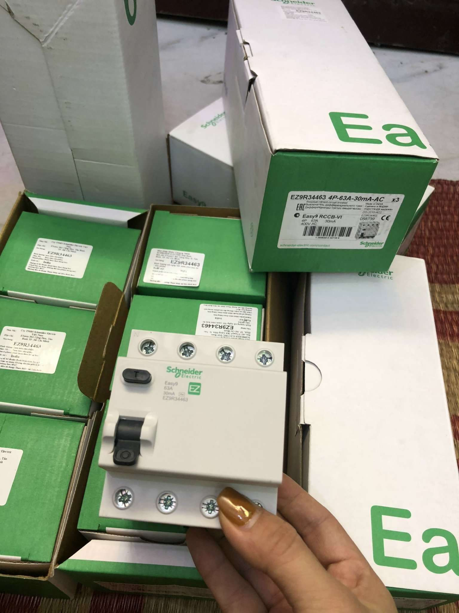 Cầu dao chống rò (RCCB) Schneider EZ9R 2P,4P