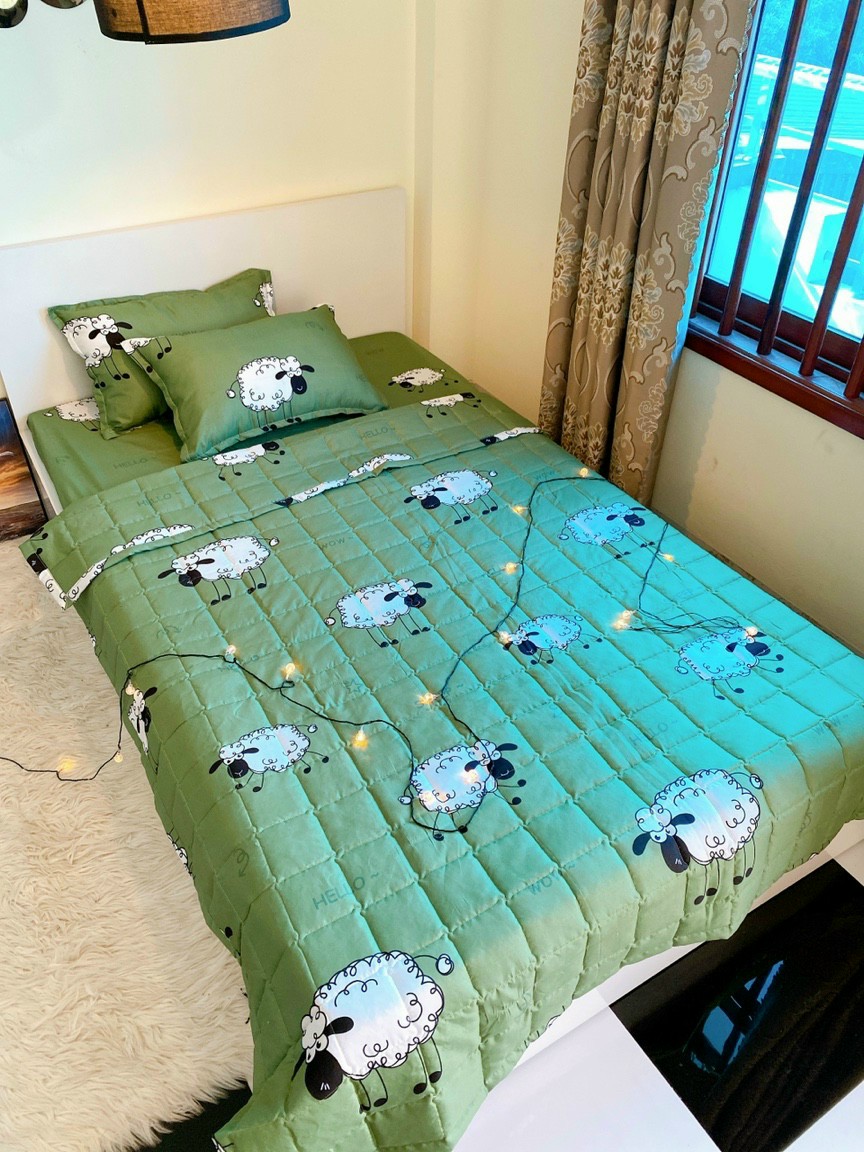 bộ ga gối pholy cotton sét 4 món(1 bộ ga 2 vỏ gối 1 vỏ gối ôm)