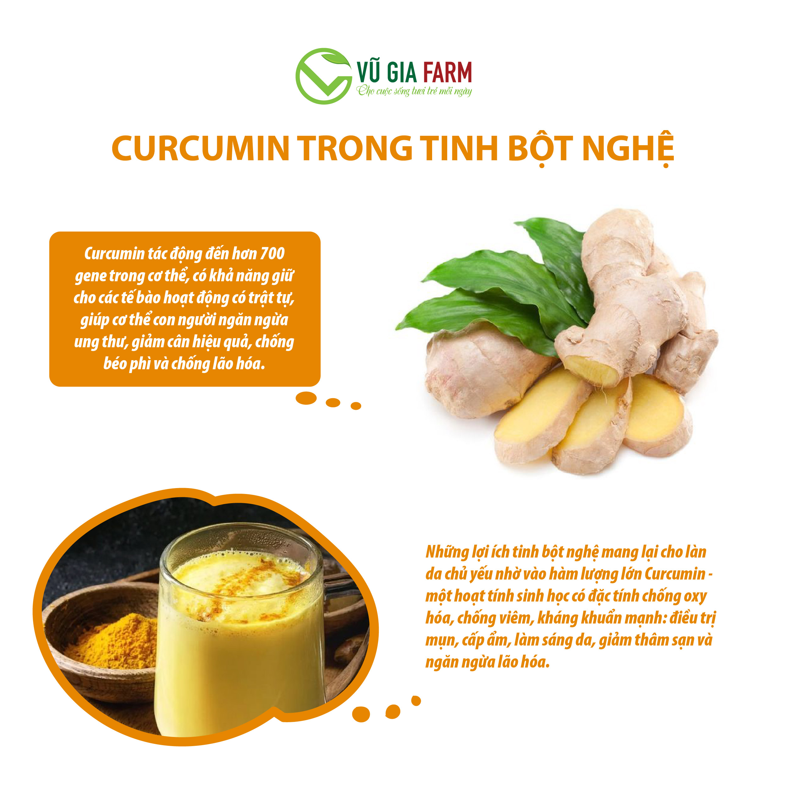 Tinh Nghệ Đỏ Nguyên Chất Vũ Gia (100g/hũ)