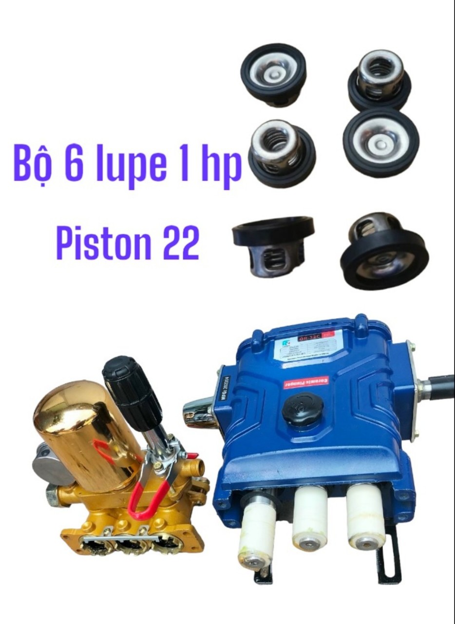 Bộ 6 lupe lắp cho máy rửa xe dây curoa 1hp ty 22mm.