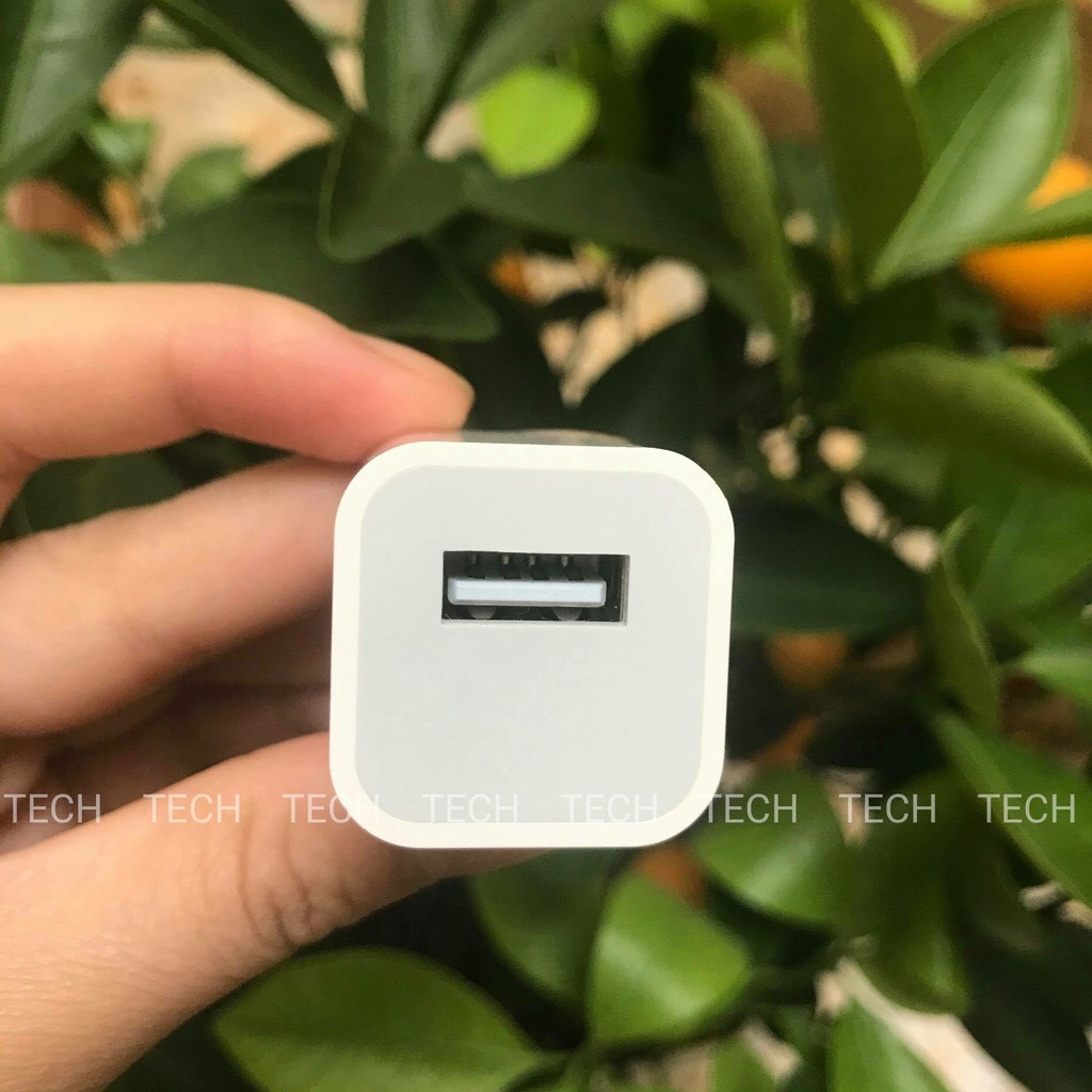 Củ sạc iPhone