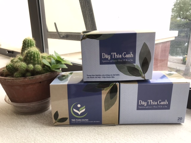 Trà túi lọc dây thìa canh