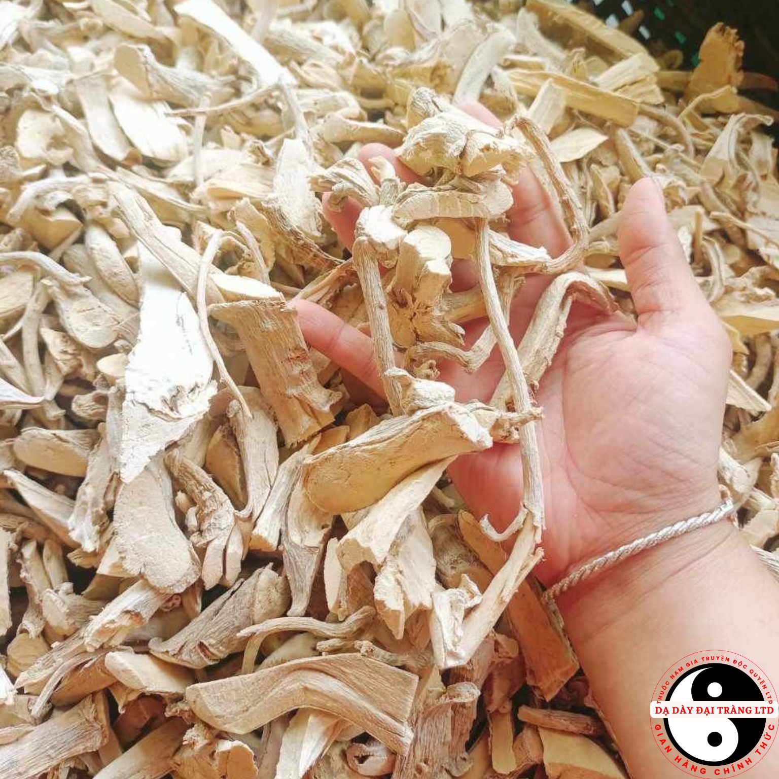 Rễ đinh lăng nếp khô lá nhỏ ngâm rượu, phơi khô từ củ, rễ đinh lăng nếp tươi giúp lợi sữa, tốt cho sức khoẻ