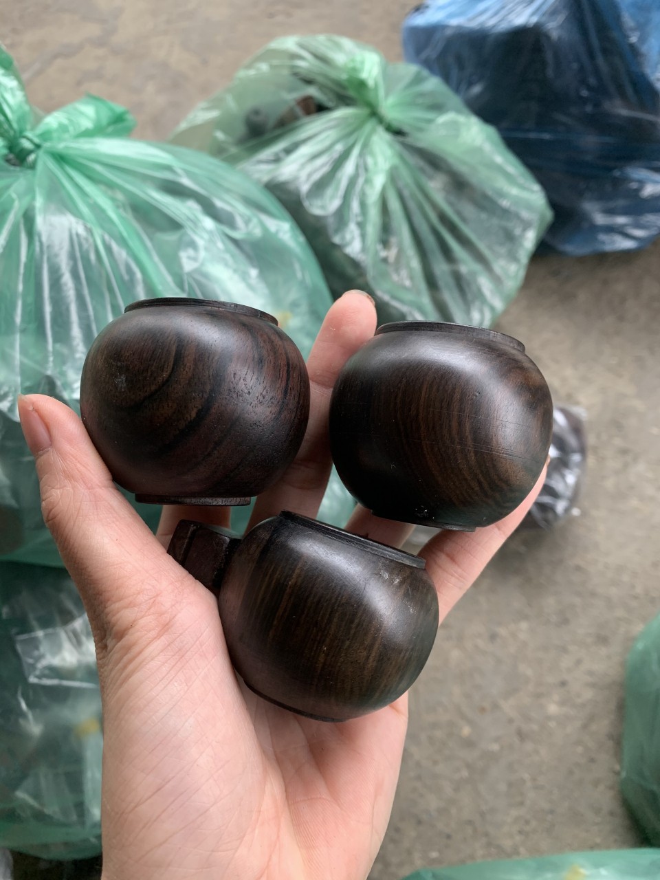 cóng chào mào gỗ mun