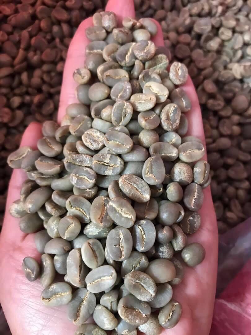 [HCM]Cà phê Nhân Xanh Arabica Cầu Đất Hemera S18 (3kg)