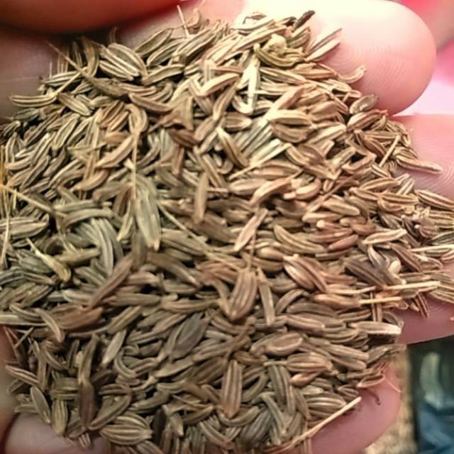 Hạt thì là Ấn Độ hạt xirom - Cumin whole spices