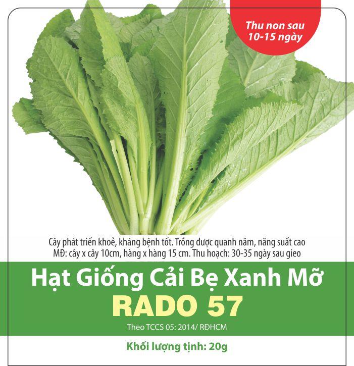 Hạt giống cải bẹ xanh mỡ