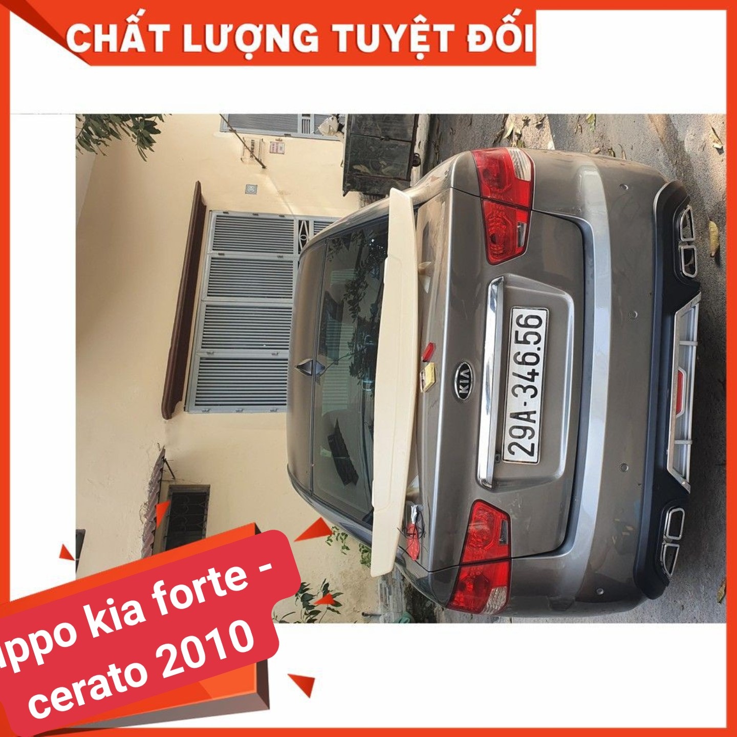 Lippo cerato 2019 2020