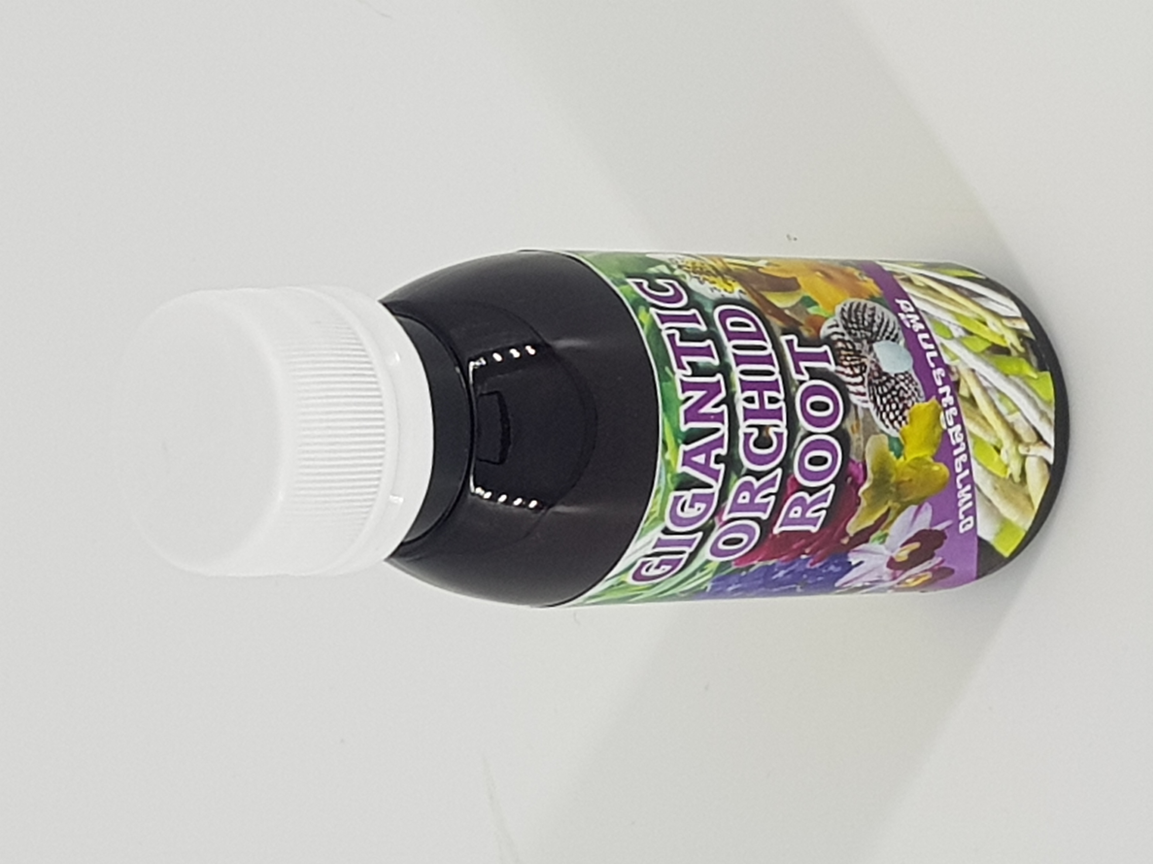 Kích rễ Thái Exotic Orchid Root