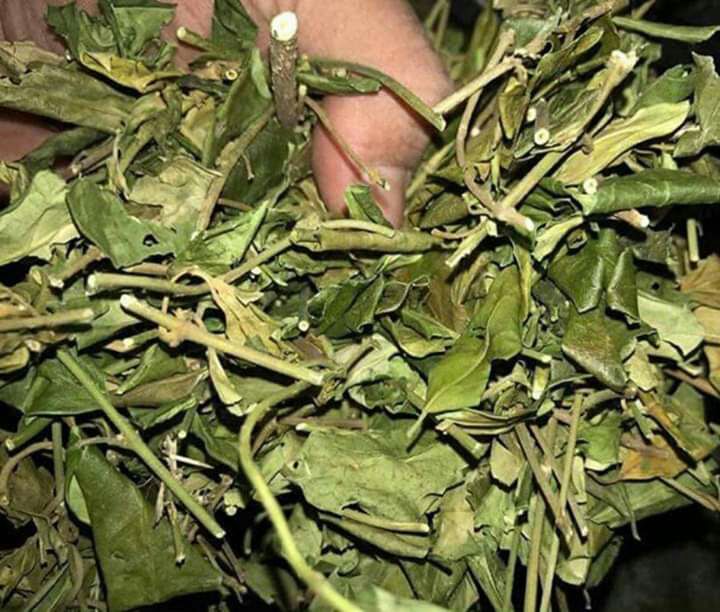Combo 3kg dây thìa canh