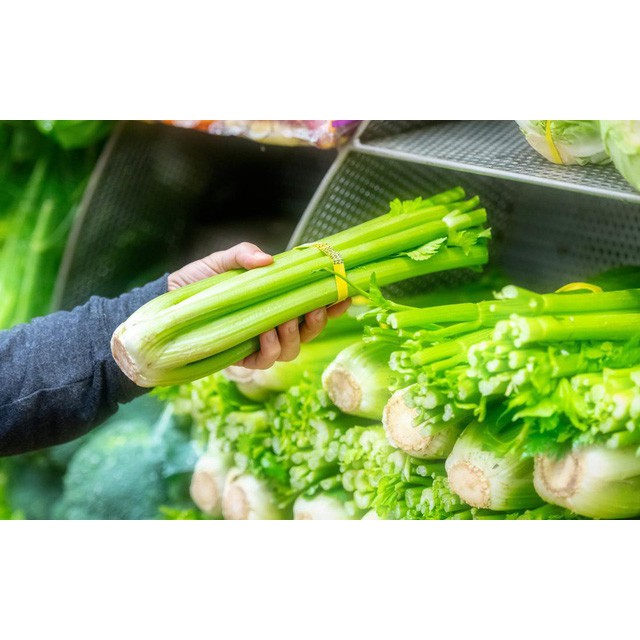 Hạt giống Cần Tây bẹ to