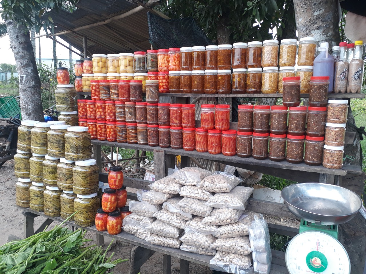[HCM]Khoai mi hap nuoc dua gia 45k /1kg