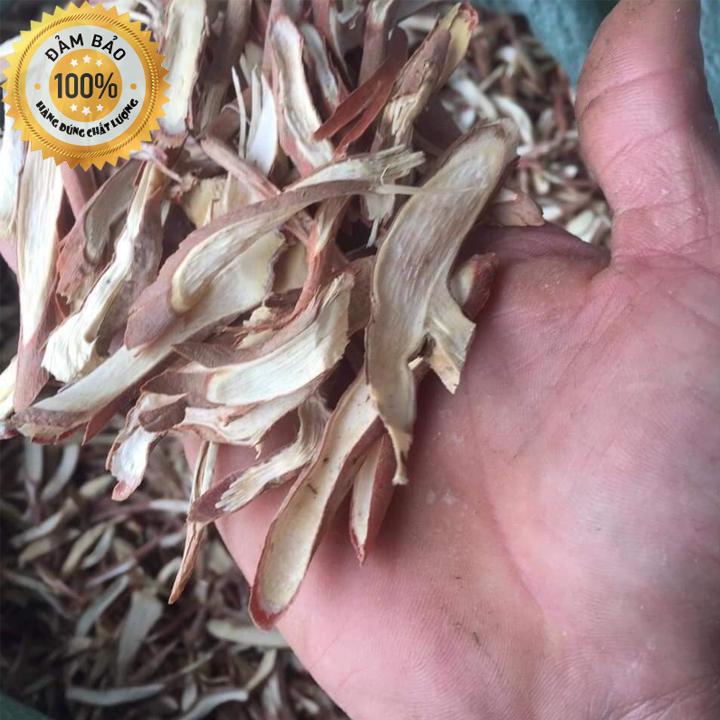 Sâm cau đỏ sấy khô - CAO CẤP