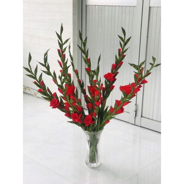 Củ lay ơn giống hoa đỏ