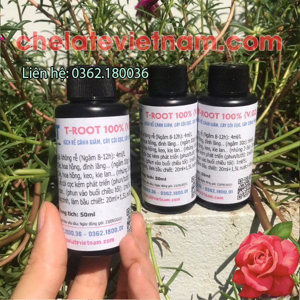 T - ROOT 100% (V.02) - Dung dịch siêu kích thích ra rễ (chai 50ml)