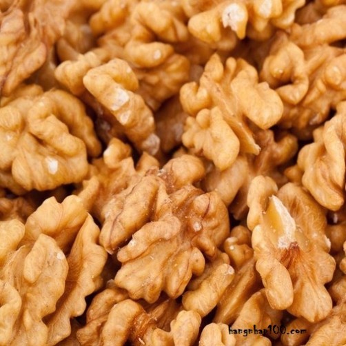 NHÂN QUẢ ÓC CHÓ ÚC 100gram (chưa rang)