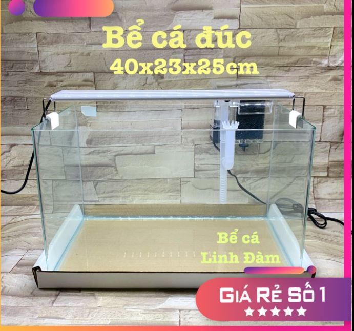 Bể kính đúc uốn góc Bể cá cảnh | Hồ thủy sinh