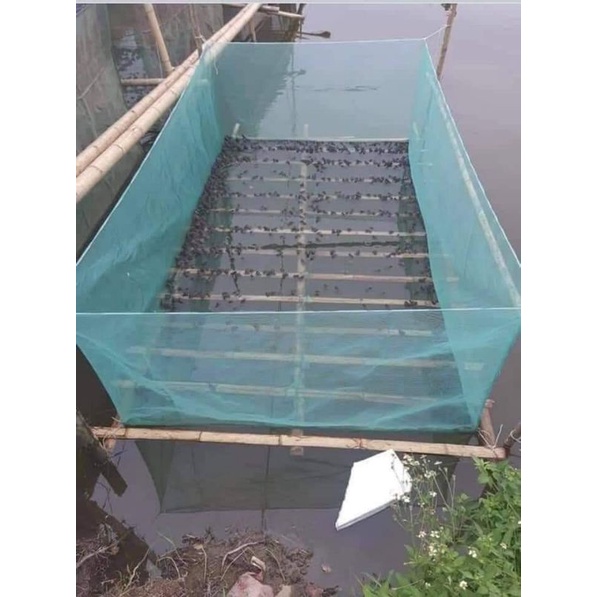 Tráng Nuôi Ốc Thủy Sản cá,lươn,trạch,ốc ,baba