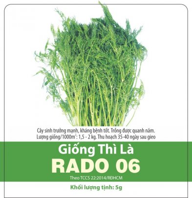 Hạt giống thì là Rado 06 RD gói 5gr