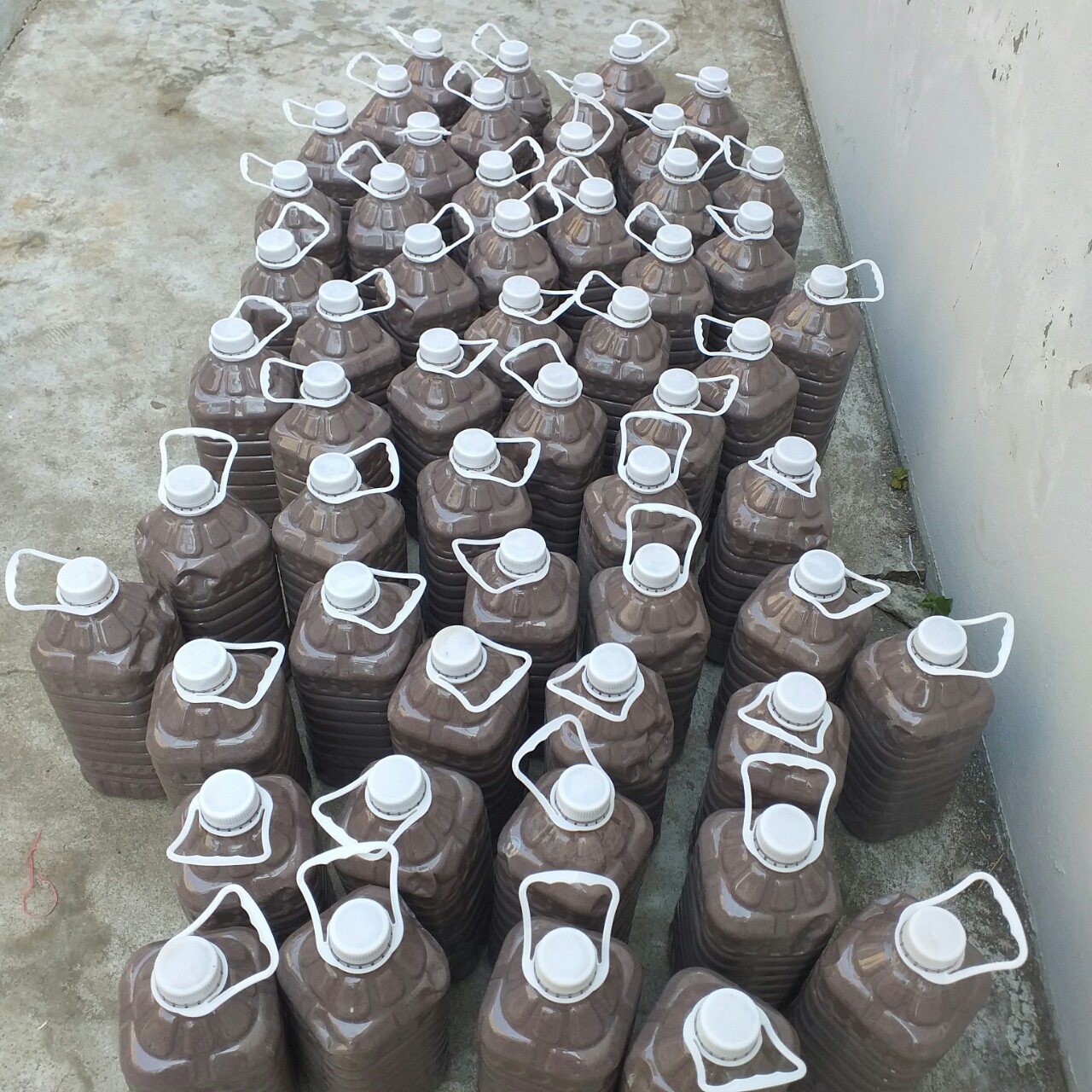 Mắm tôm Ba làng thanh hóa (chai 300gr)