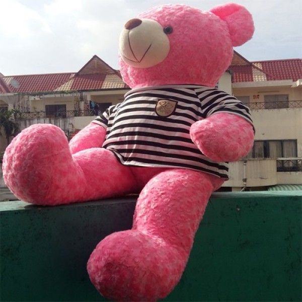 [HCM]Gấu bông Teddy khổ vải 1m màu hồng