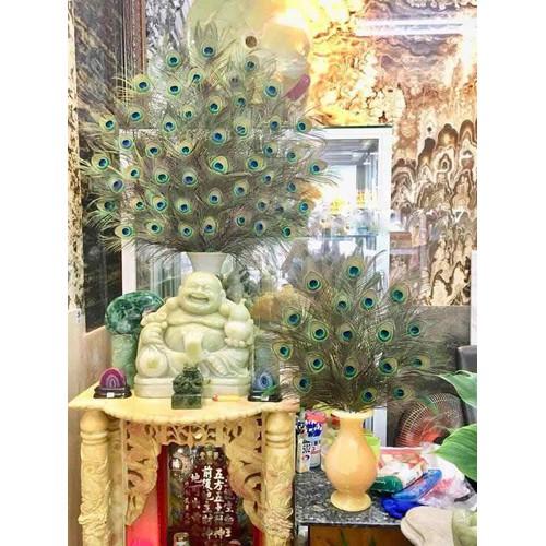 30 Lông công phong thủy Ấn Độ dài 1m