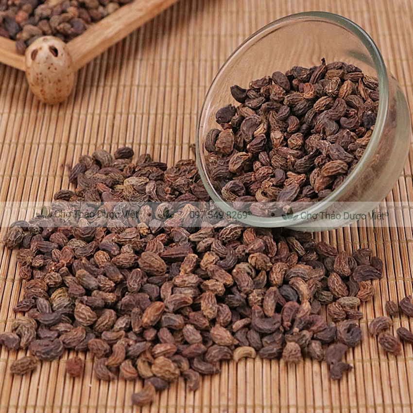 Nữ Trinh Tử 100g