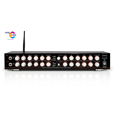 Vang Số Paramax DX-2500 AIR DSP Hàng Chính Hãng