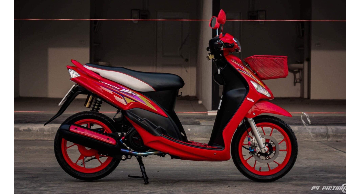 Tem mio nhỏ đẹp nhất