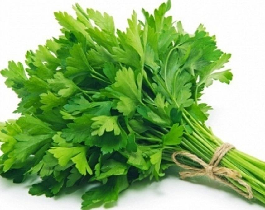 Hạt giống Mùi tây