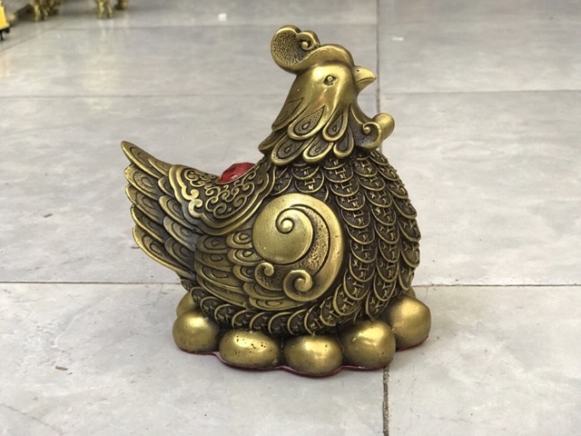 Gà Mái Lông vàng bạc