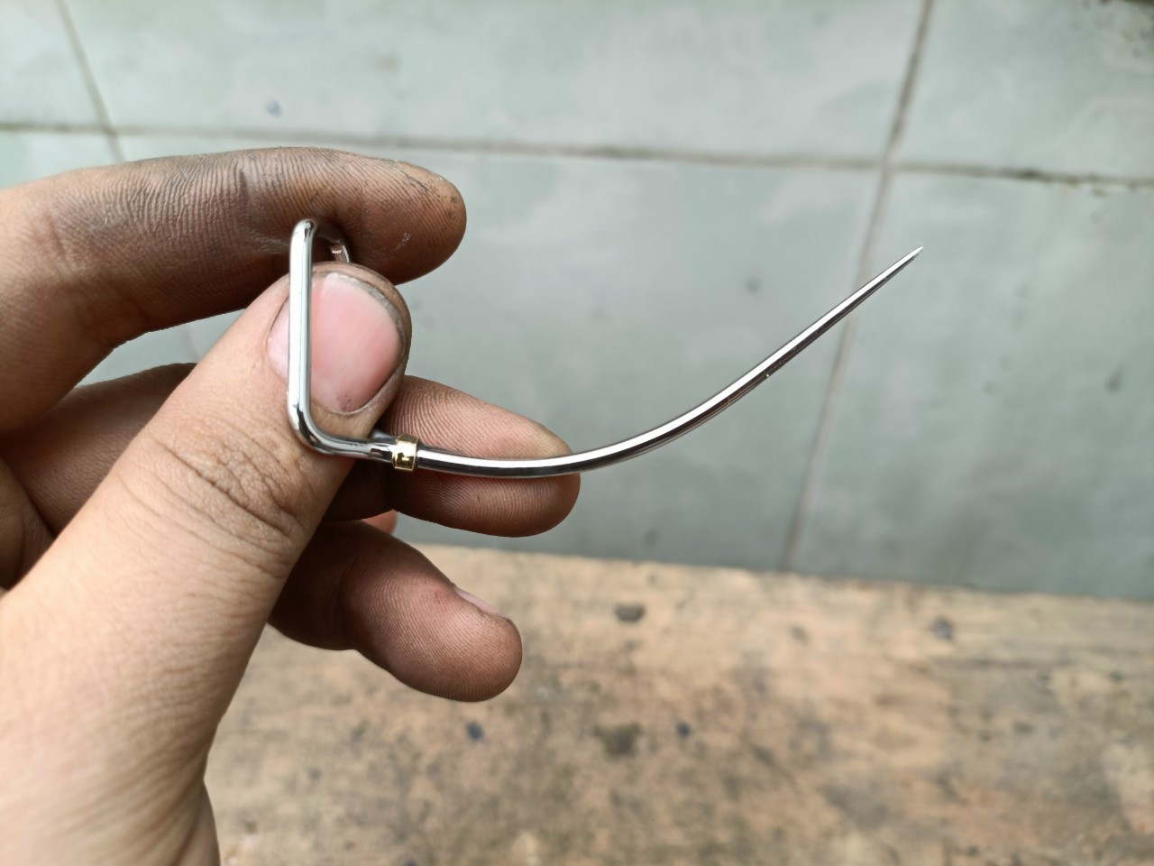 Cựa Gà Nòi Size 62