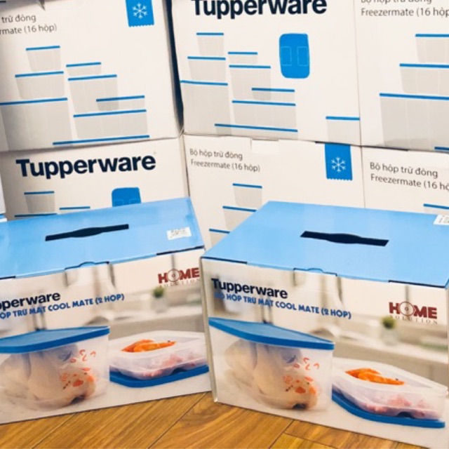coolmate 2 hộp đông mềm 1.8L 4.4L cool mate tupperware