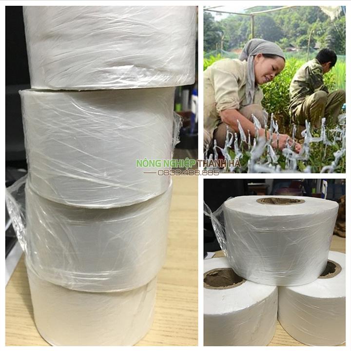 Băng ghép cây nilon tự hủy khổ 8cm