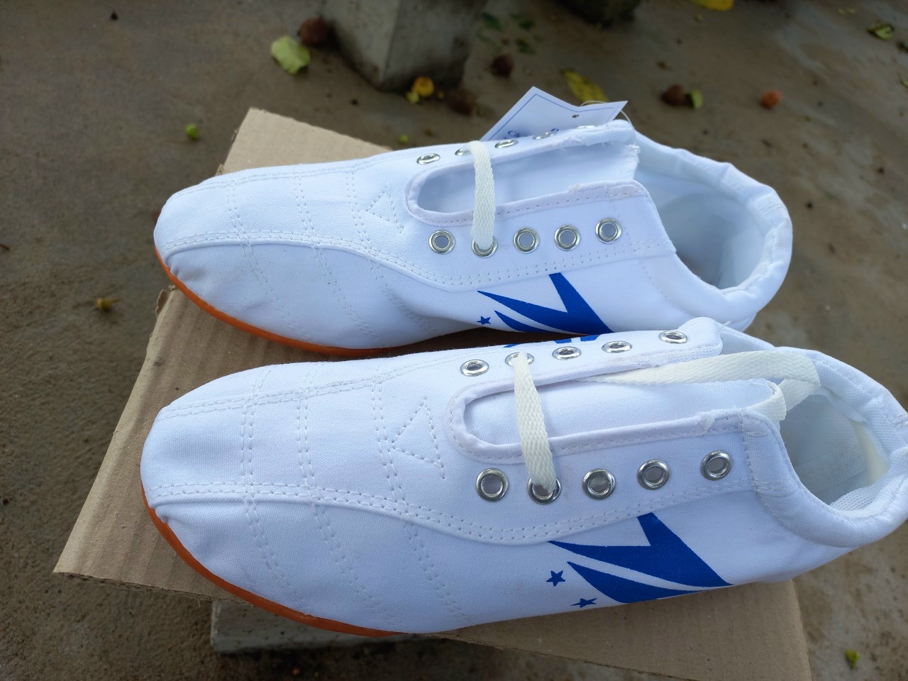 Giày bata Đinh đá bóng chạy bộ Màu Trắng Size (30 - 43)