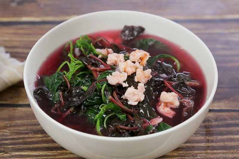 Hạt giống rau Dền tía (Dền khoang) 20 gram