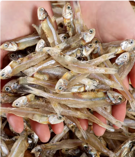 1 KG KHÔ CÁ CƠM LOẠI 1 , THỊT MỀM DẺO
