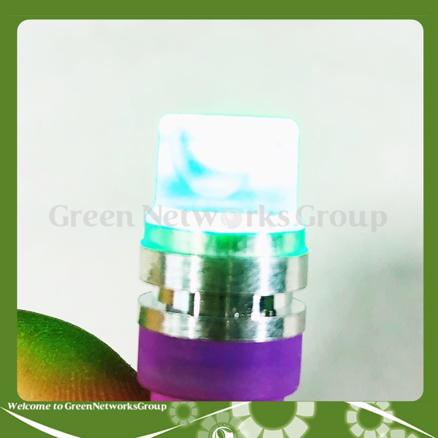 Đèn xi nhan 7 màu chân T10 Greennetworks ( 1 Cặp )