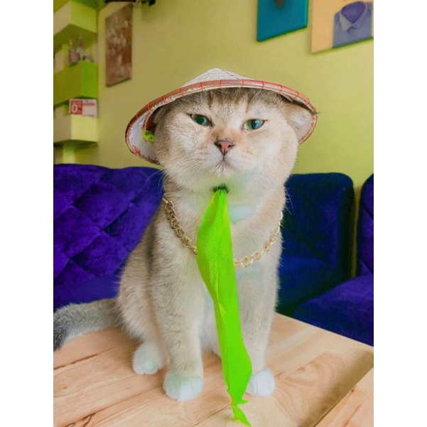 Nón lá Việt Nam cho thú cưng chó mèo