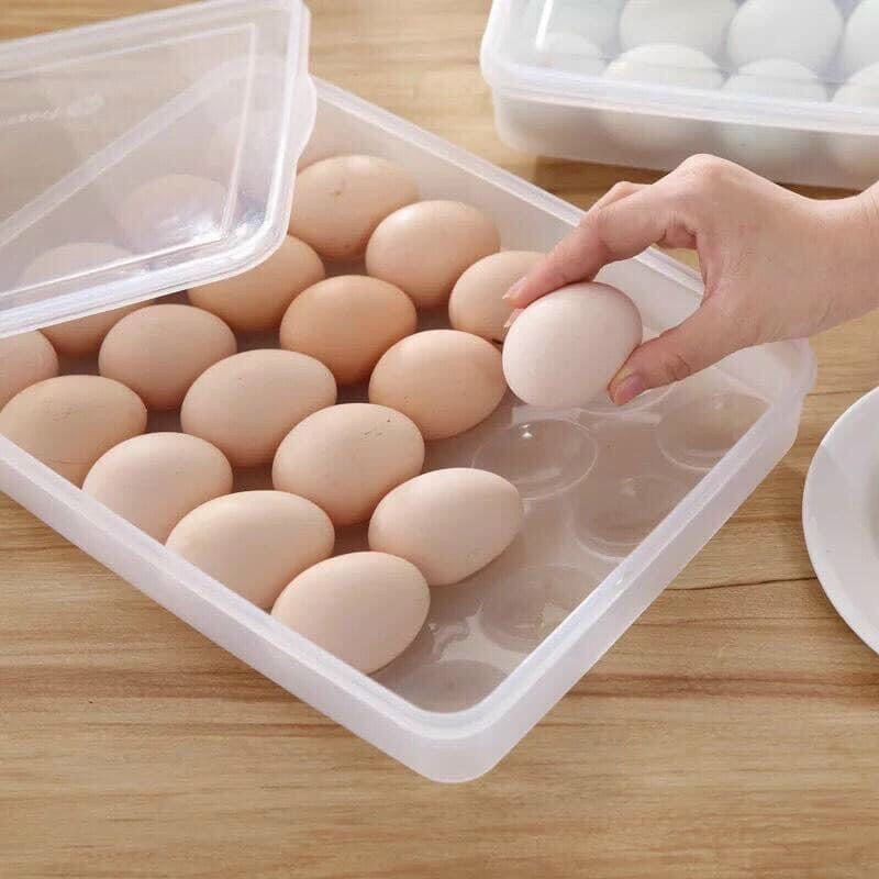 Khay đựng trứng 1 tầng 24 quả