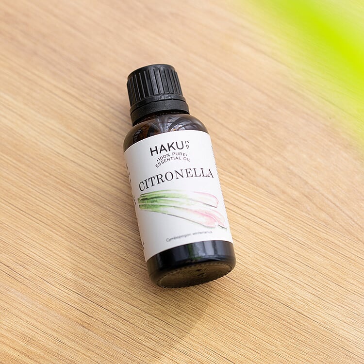 Tinh Dầu Sả Java HAKU 10ml